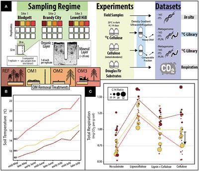 Long-Term Enrichment of Stress-Tolerant Cellulolytic Soil Populations following Timber Harvesting Evidenced by Multi-Omic Stable Isotope Probing